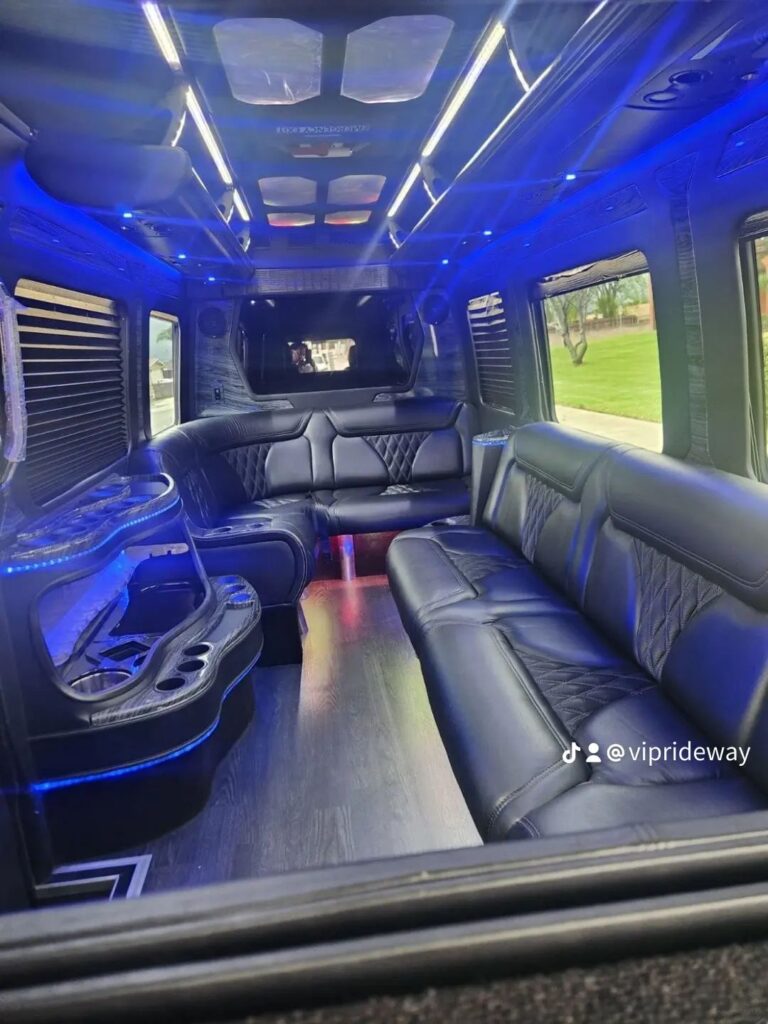 Homecoming Party Bus-Birthday Party Bus Rental