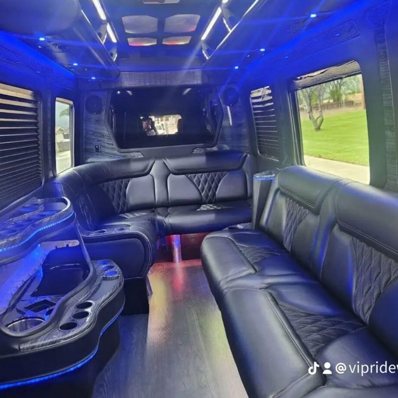 Homecoming Party Bus-Birthday Party Bus Rental